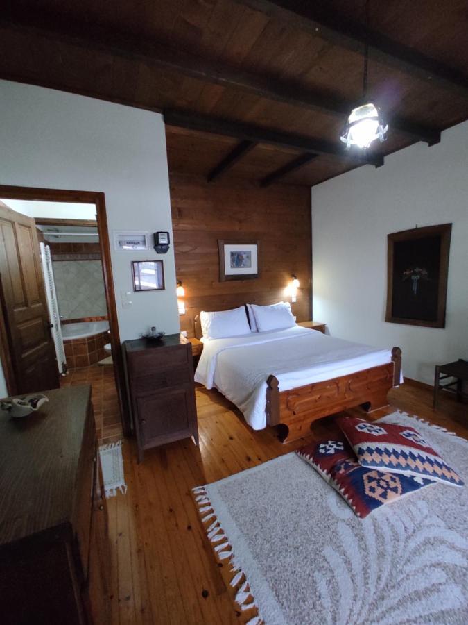 Xenonas Brizi Hotel Elati  ภายนอก รูปภาพ