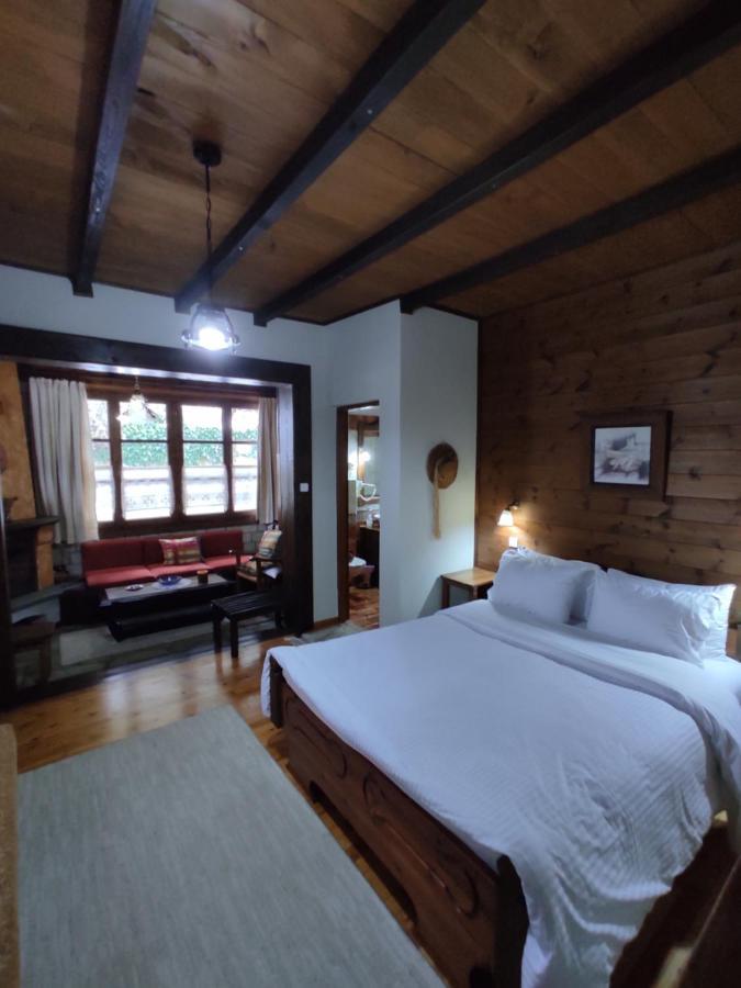 Xenonas Brizi Hotel Elati  ภายนอก รูปภาพ
