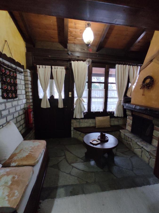 Xenonas Brizi Hotel Elati  ภายนอก รูปภาพ
