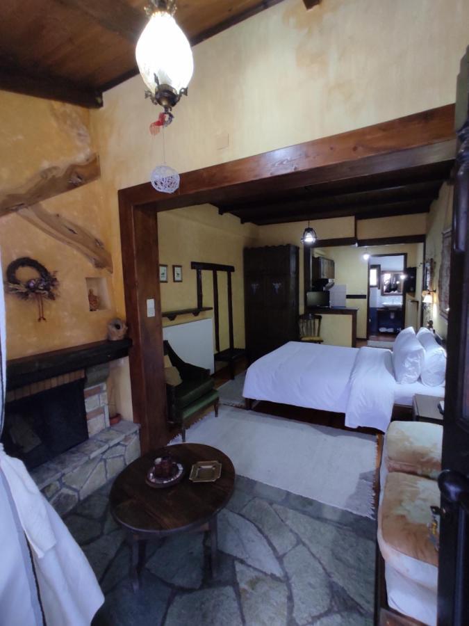 Xenonas Brizi Hotel Elati  ภายนอก รูปภาพ