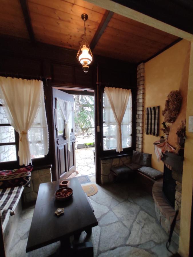 Xenonas Brizi Hotel Elati  ภายนอก รูปภาพ