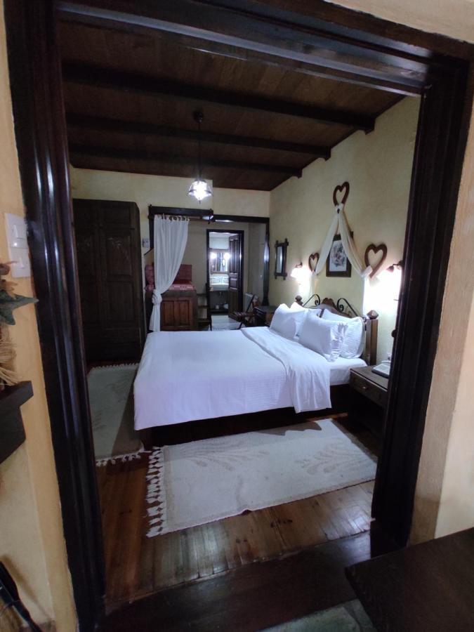Xenonas Brizi Hotel Elati  ภายนอก รูปภาพ