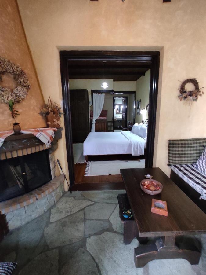 Xenonas Brizi Hotel Elati  ภายนอก รูปภาพ