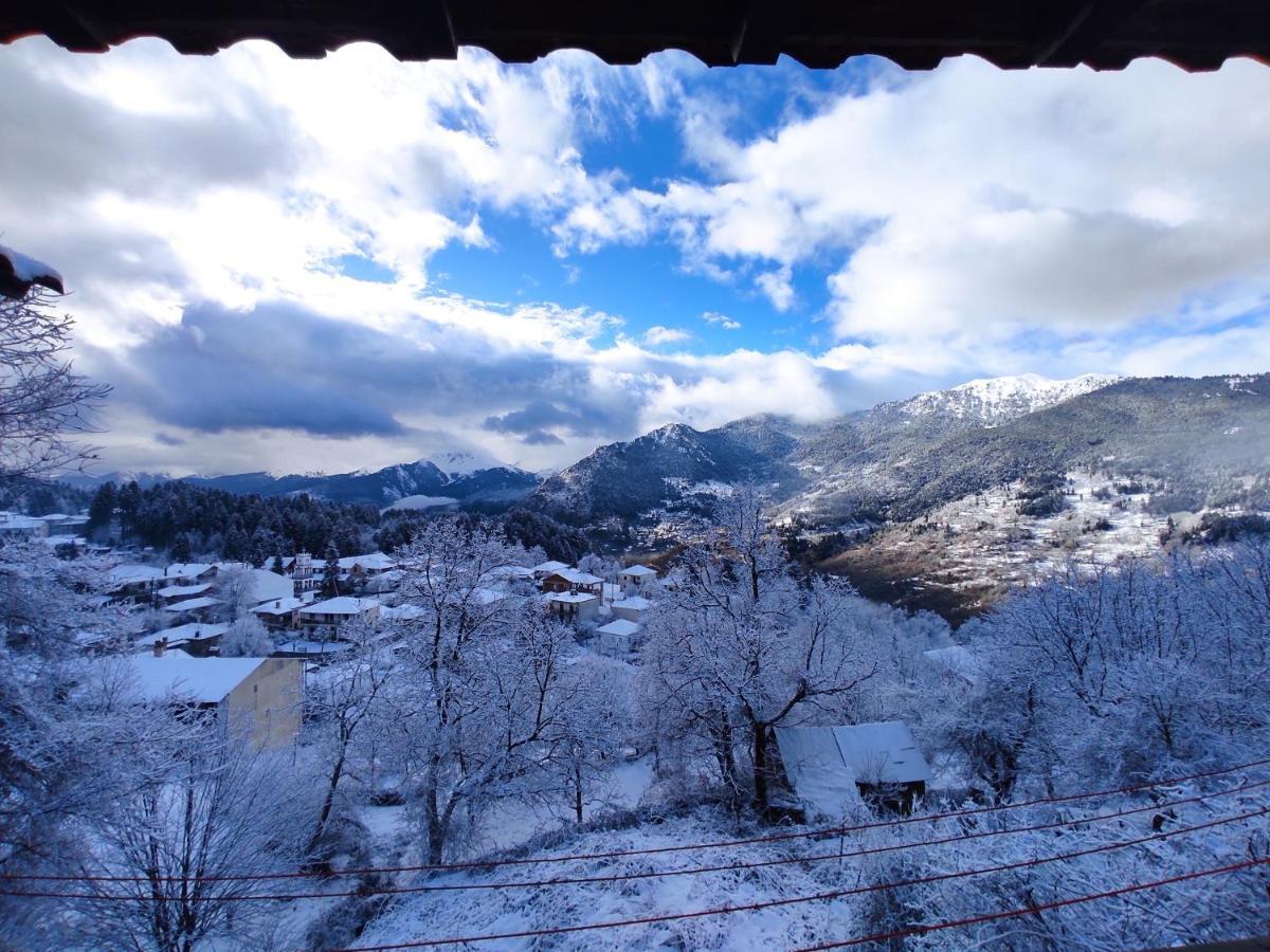 Xenonas Brizi Hotel Elati  ภายนอก รูปภาพ