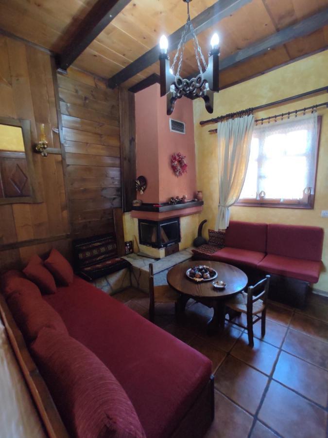Xenonas Brizi Hotel Elati  ภายนอก รูปภาพ