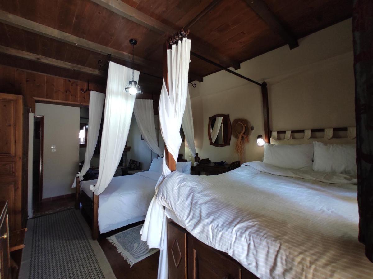 Xenonas Brizi Hotel Elati  ภายนอก รูปภาพ