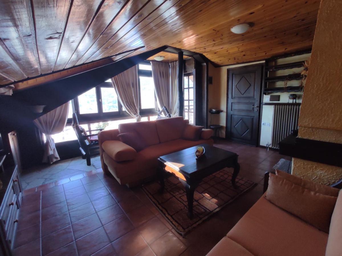 Xenonas Brizi Hotel Elati  ภายนอก รูปภาพ