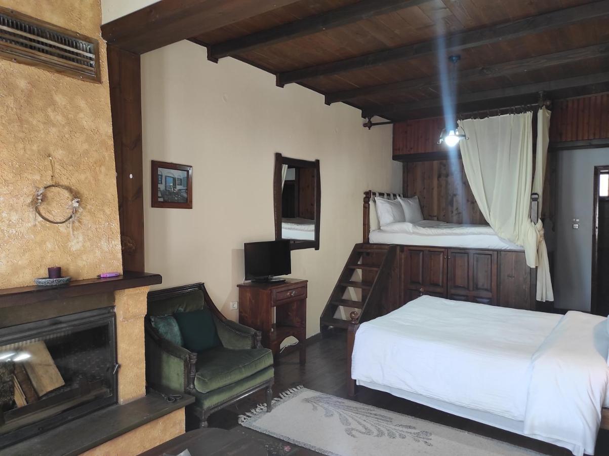 Xenonas Brizi Hotel Elati  ภายนอก รูปภาพ