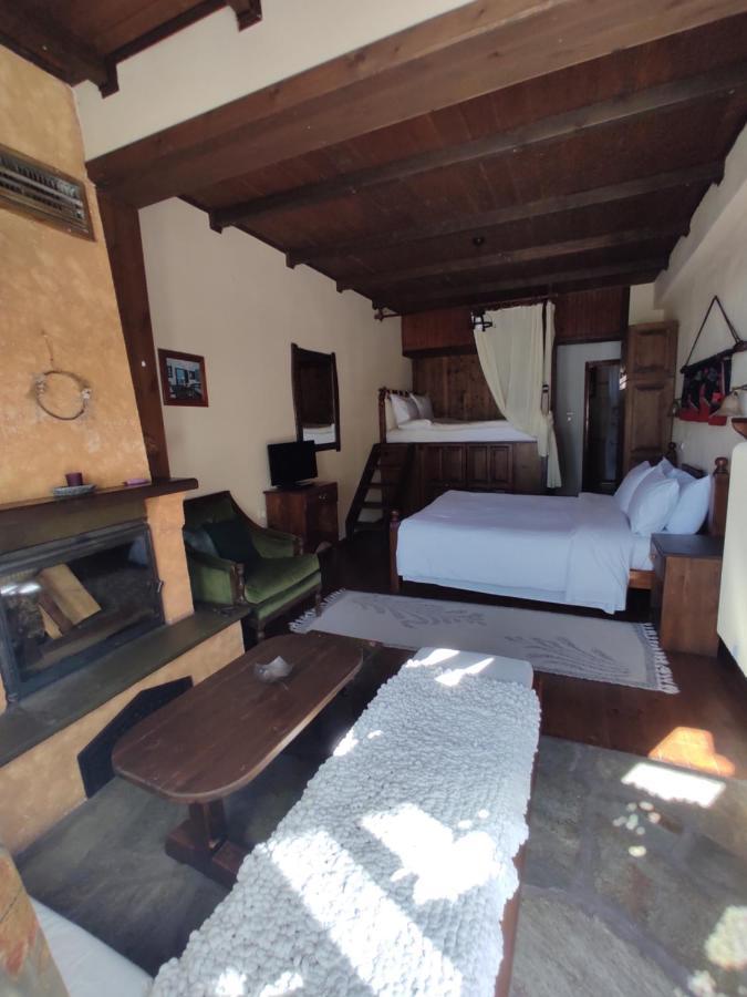 Xenonas Brizi Hotel Elati  ภายนอก รูปภาพ