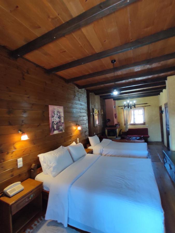 Xenonas Brizi Hotel Elati  ภายนอก รูปภาพ