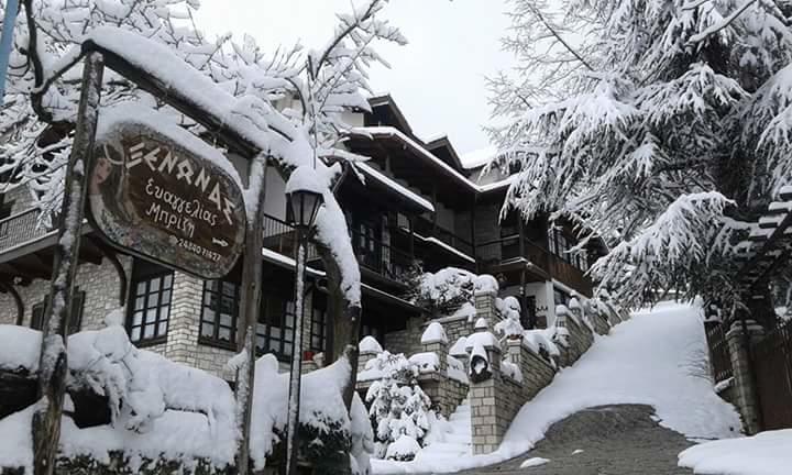 Xenonas Brizi Hotel Elati  ภายนอก รูปภาพ