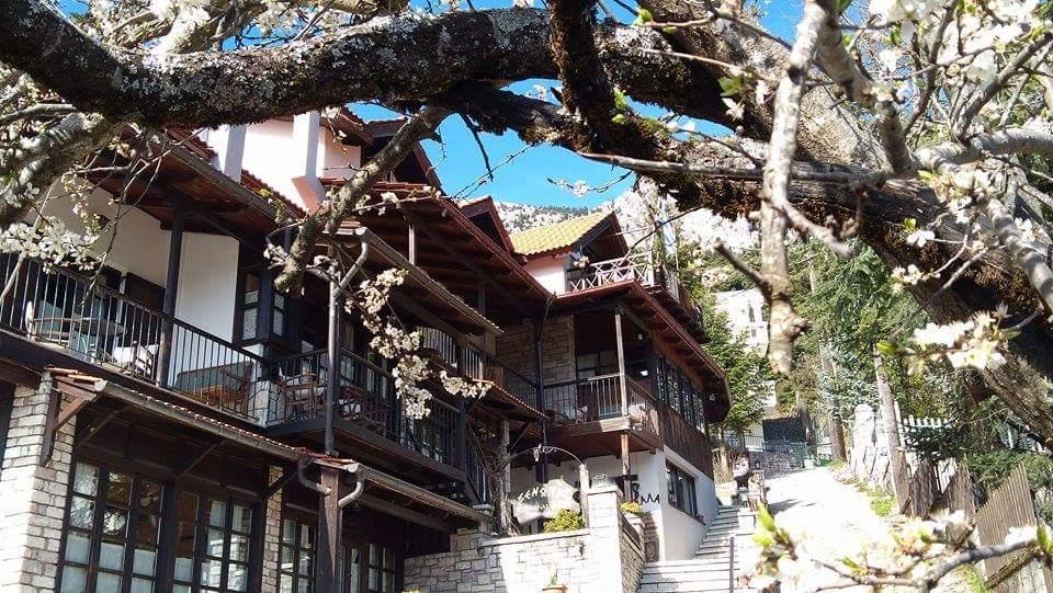 Xenonas Brizi Hotel Elati  ภายนอก รูปภาพ