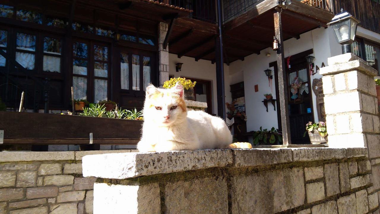 Xenonas Brizi Hotel Elati  ภายนอก รูปภาพ