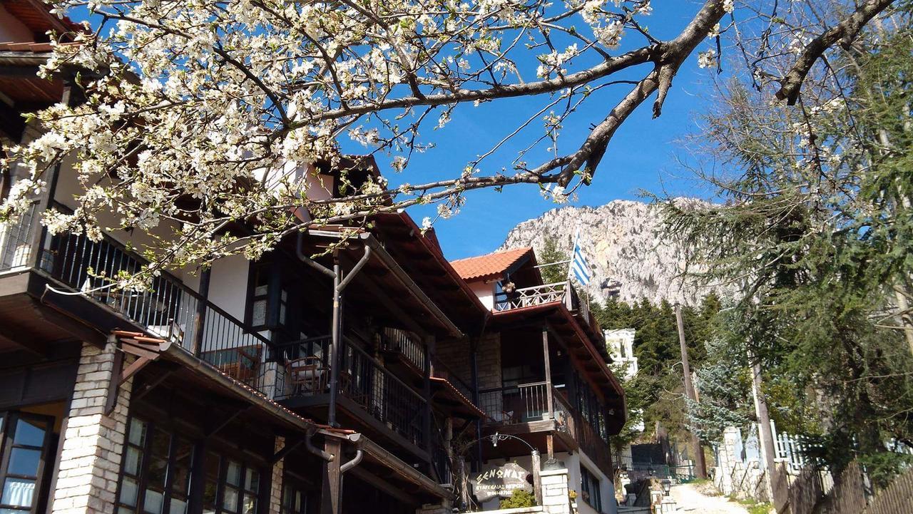 Xenonas Brizi Hotel Elati  ภายนอก รูปภาพ